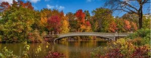 Central Park