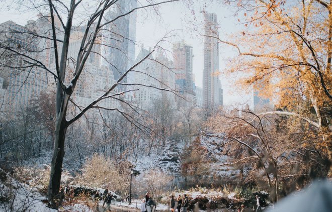 Nueva York lugares para visitar - Central Park