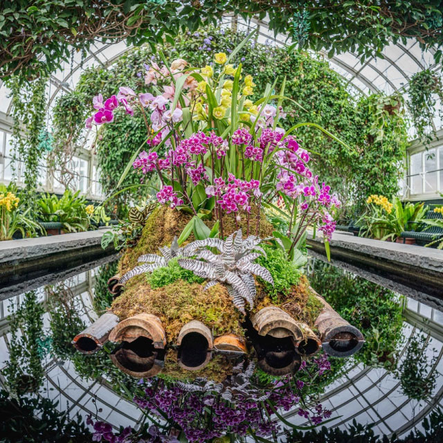 Donde proponer matrimonio NYC - Botanical Garden