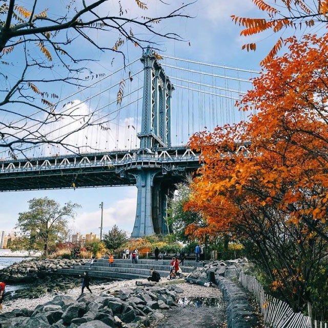 Donde proponer matrimonio NYC- Brooklyn bridge park
