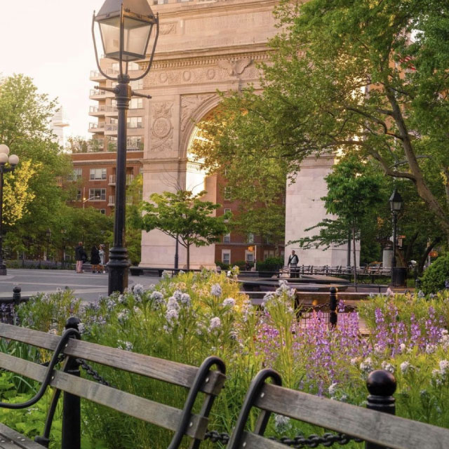 Parques de NYC-Washington Square